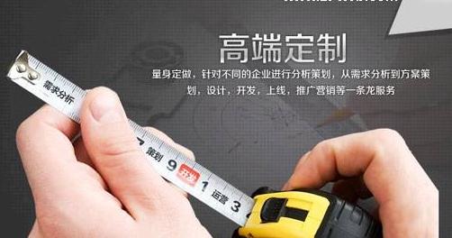 模板網(wǎng)站和定制網(wǎng)站的區(qū)別在哪里？哪種更利于發(fā)展？