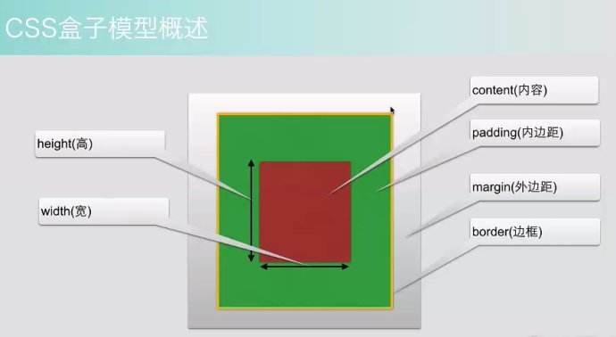 css盒子模型