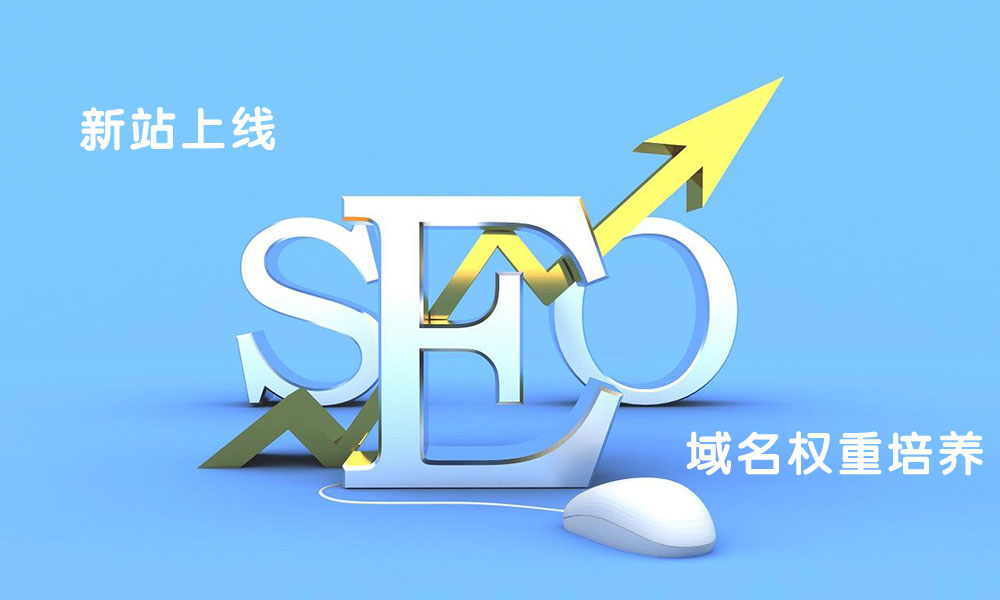 新站上線SEO優(yōu)化很重要 域名權(quán)重培養(yǎng)是關(guān)鍵
