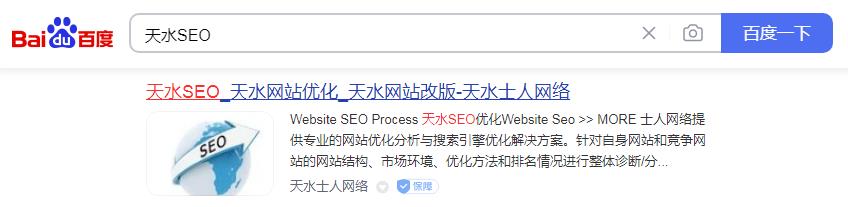 天水SEO關(guān)鍵詞排名圖