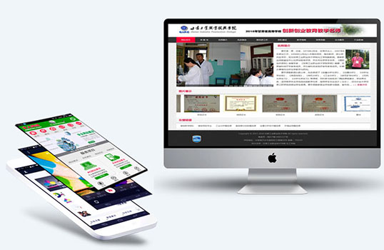 網(wǎng)站建設(shè)過程中的核心問題