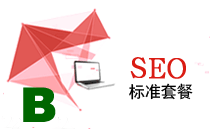 網(wǎng)站SEO優(yōu)化標(biāo)準(zhǔn)型B套餐