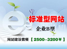 企業(yè)標(biāo)準(zhǔn)B型網(wǎng)站套餐