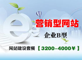 企業(yè)營銷B型網(wǎng)站套餐