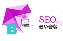 網(wǎng)站SEO優(yōu)豪華準型B套餐