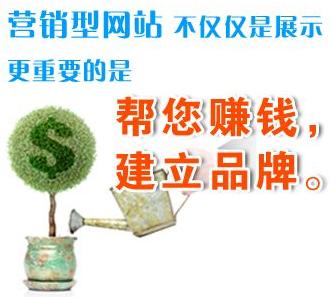 營銷型網(wǎng)站建設(shè)不僅僅是展示 更重要的是幫你賺