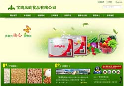 寶雞鳳嶺食品有限公司網(wǎng)站
