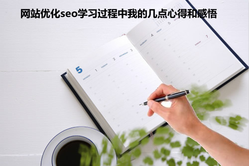 網(wǎng)站優(yōu)化SEO學(xué)習(xí)過程中我的幾點(diǎn)心得和感悟
