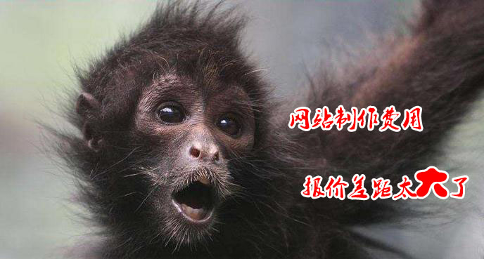 網(wǎng)站建設報價相差甚遠 其中有什么貓膩？